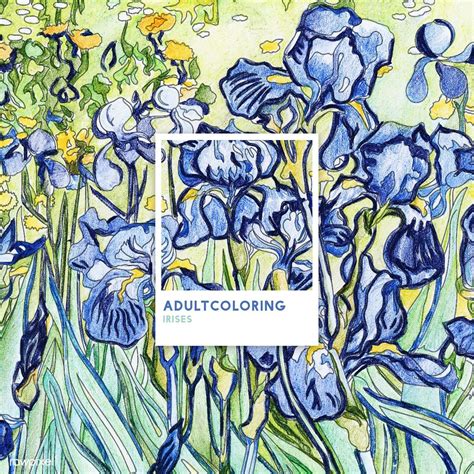 Irises 1889 By Vincent Van Gogh Adult Coloring Page Free Image By