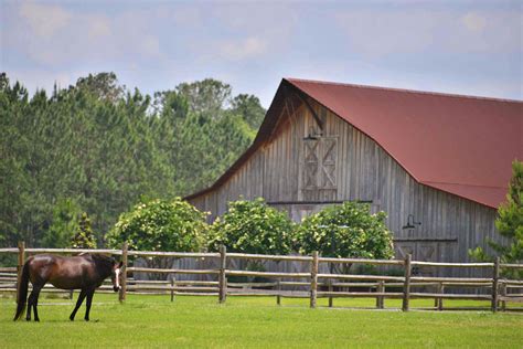 Community Spotlight Cfs Vintage Farm