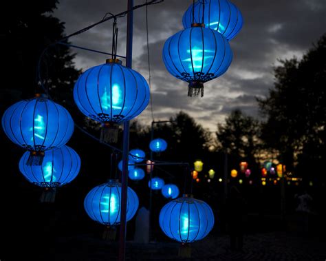 Blue Lanterns Light The Way These Are True Blue Originall Flickr