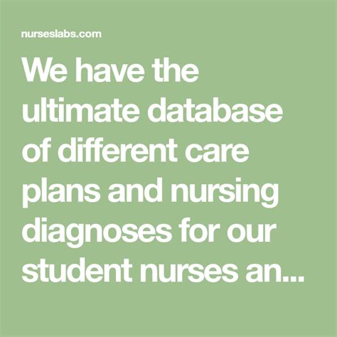 We Have The Ultimate Database Of Different Care Plans And Nursing