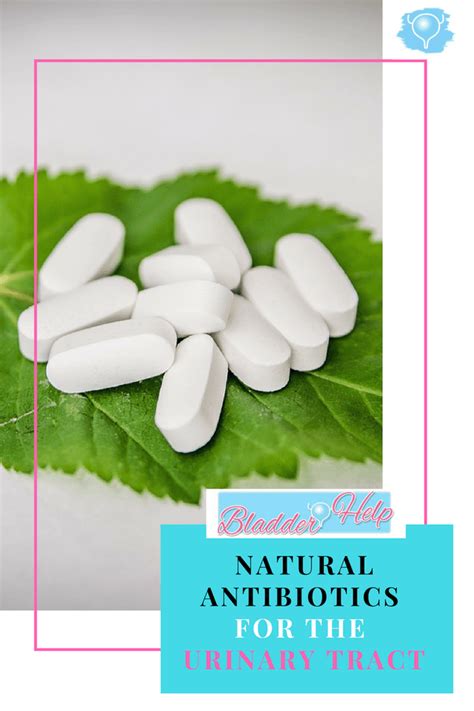 Natural Antibiotics For The Urinary Tract Bladder Help Natural