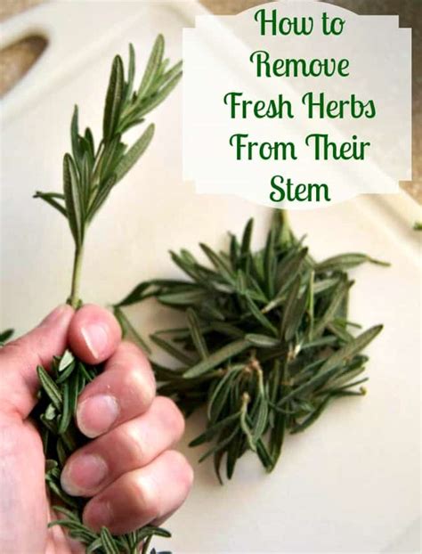 Remove Fresh Herbs From Stems 365 Days Of Baking And More