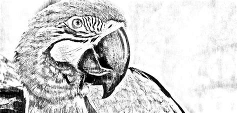 ▷ 1001 + idee per disegni a matita facili e molto belli. Disegni A Matita Con Passaggi - Disegni HD