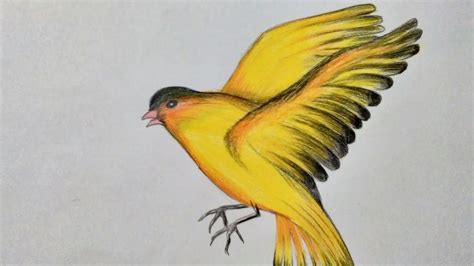 Drawing Of Flying Bird Youtube