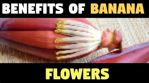 Incredibly Good Health Benefits Of Banana Flower Youtube