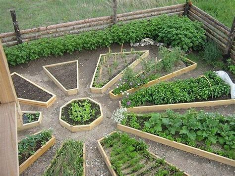 30 Best Ideas To Growing Vegetable Garden Coodecor Raised