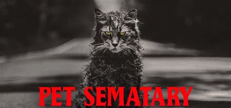 Pet Sematary 2019 Pet Sematary English Movie Movie Reviews