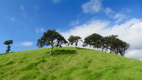 4k Free Download Green Grass Hills Trees Slope Mountain In White