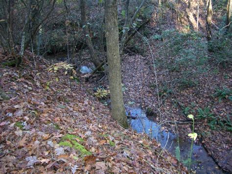 Find nc mountain land for sale. NC Mountain Land For Sale - Taylorsville NC - Barrett ...