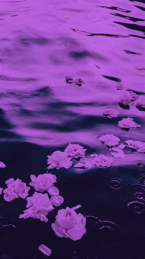 Flower Background Iphone Flower Backgrounds Purple Haze Dark Purple