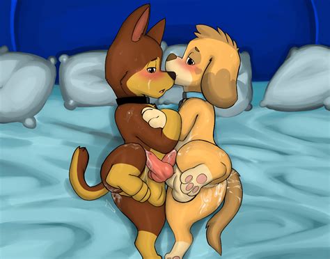 Rule 34 After Sex Blush Bodily Fluids Canid Canine Canis Chase Paw