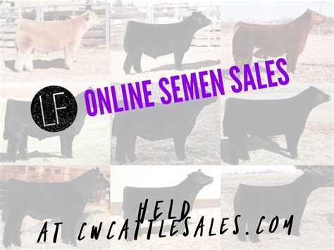 lautner farms online semen sales lautner farms