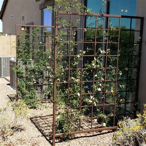 Gallery - Arizona Trellis - Gardening Trellises