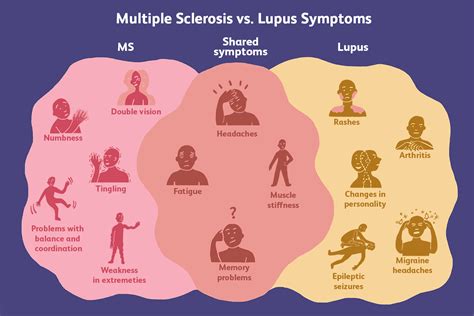 Unterschiede Zwischen Lupus Und Multipler Sklerose