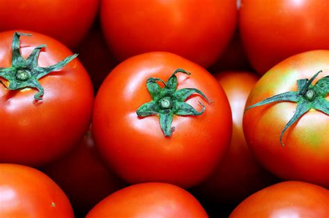 Tomato Fruit Vegetables Free Photo On Pixabay Pixabay