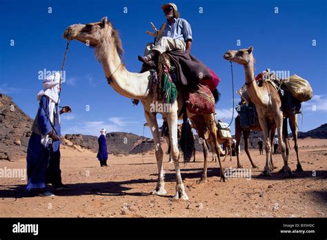 Tuareg In The Sahara Desert Libya Stock Photo Royalty Free Image