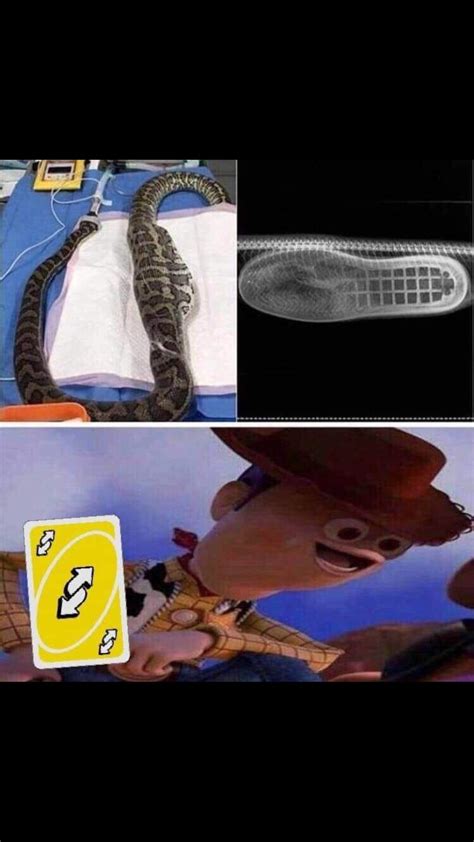 Theres A Boot In My Snake Rholup