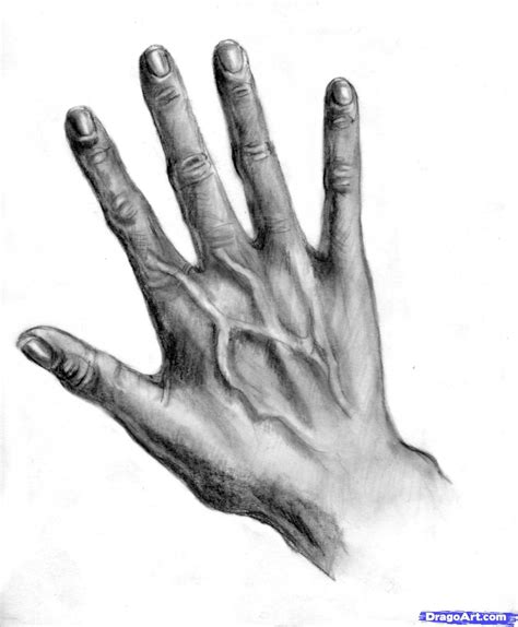 Realistic Hand Drawing Tutorial Easy Drawing Ideas