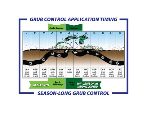 Two Seasons Of Grub Control Early Season Or Summer