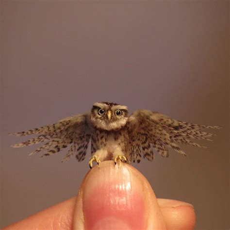 Adorable And Detailed Miniatures Of Animals By A Biologist
