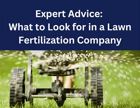 Expert Advice: What to Look for in a Lawn Fertilization Company