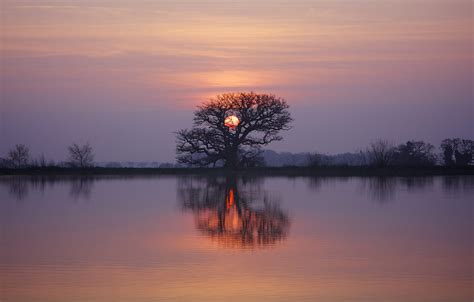 Wallpaper Twilight Sunset Lake Tree Dusk Reflection Branches
