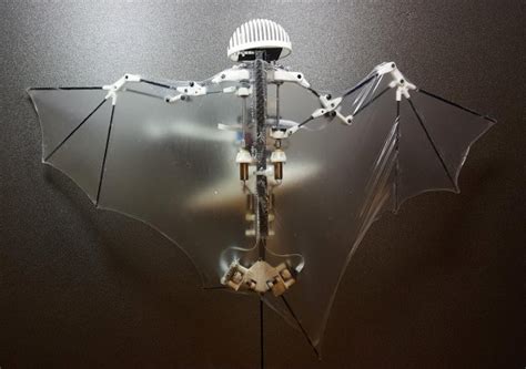 Bat Inspired Robot Swoops And Dives Like A Bat Uas Vision