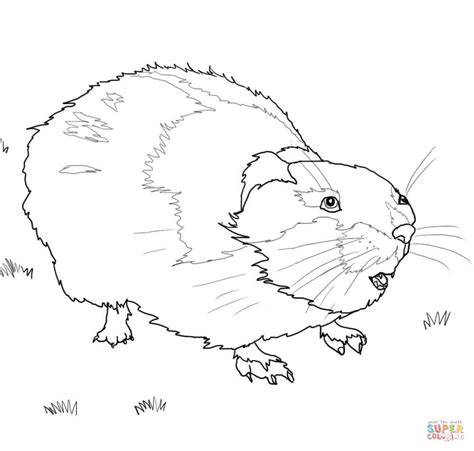 Printable colouring book for kids. Lemming coloring page | Free Printable Coloring Pages
