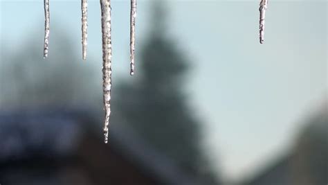 Winter Icicles Melting On The Roof Under The Spring Sun And Dripping