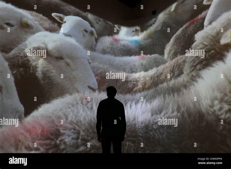 This family friendly exhibition will take visitors on a journey to