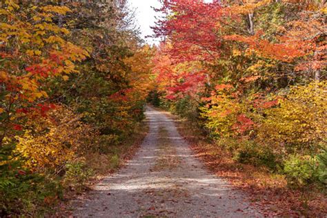 Driving In Maines North Woods What You Need To Know