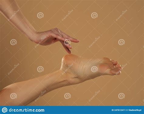 Perfect Clean Female Feet Beautiful And Elegant Groomed Woman S Hand