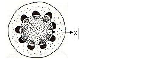 Check spelling or type a new query. Contoh Soal UAS Mapel IPA Terpadu Kelas 8 Sem.Ganjil ...