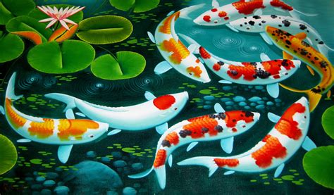 Japanese Koi Fish Wallpapers Top Free Japanese Koi Fish Backgrounds