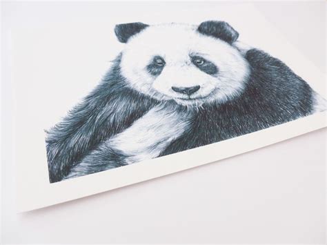 Giant Panda Art Print Panda T Idea Original Panda Etsy Uk Panda