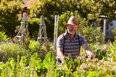 The Benefits Of Senior Gardening Stannah Stairlfits Inc