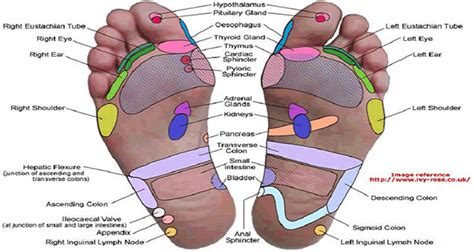 The kd 1 pressure point is located on the depression you feel below the joint of the big toe. DIY Foot Reflexology 7 Pressure Points To Reduce Stress ...