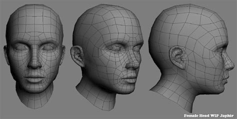 Head Perspectives Face Topology Model Face