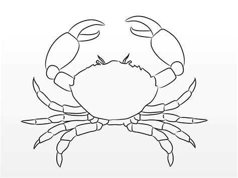 How To Draw A Crab 9 Steps With Pictures Wikihow