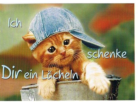 Sprüche für jeden anlass | schöne & lustige sprüche. Das Leben ist Bunt: Lustige Sprüche ... Lach doch mal