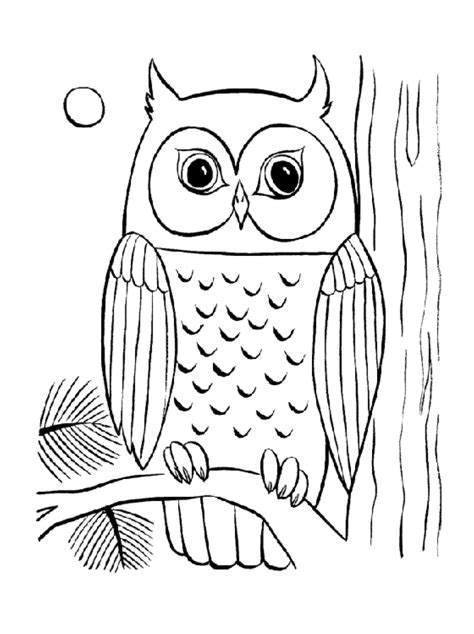 New easy coloring pages for seniors. Cool Owl Coloring Pages - Coloring Home