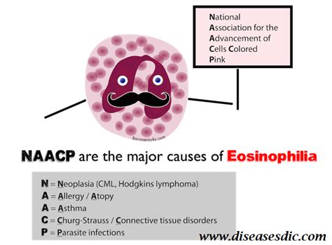 Eosinophils High Count Means
