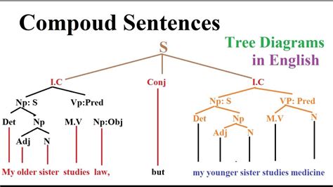 Tree Diagrams Compound Sentences Part 1 In English Youtube