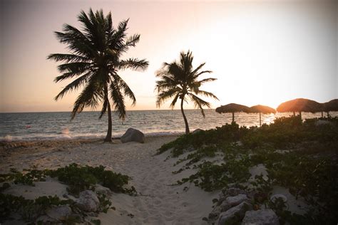 Filetropical Beach Sunset Wikimedia Commons