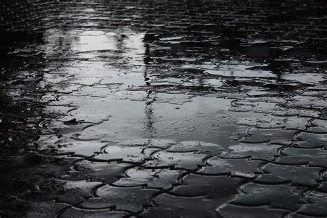 Picture Rain Puddle Water Pavement Wet Cities 5184x3456