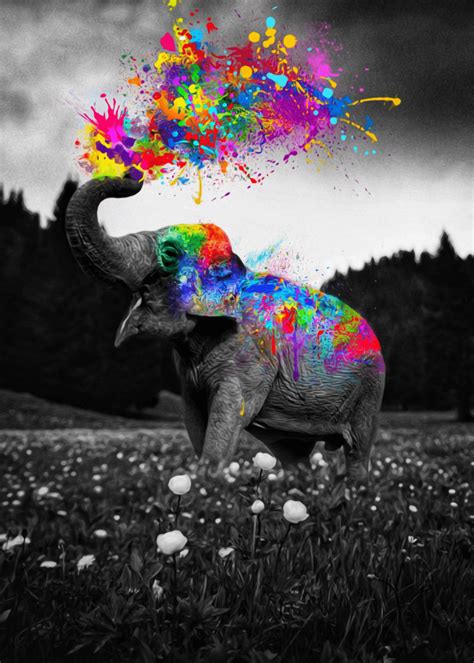 Colorful Elephant Art Wallpapers Top Free Colorful Elephant Art