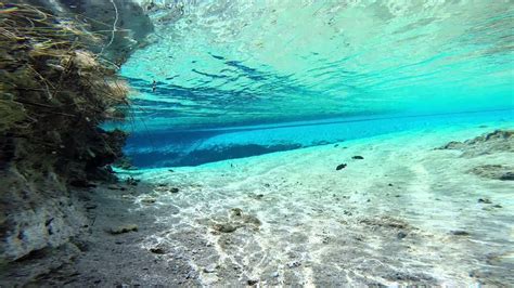 Poza Azul Cuatro Cienegas Coahuila Mexico Youtube