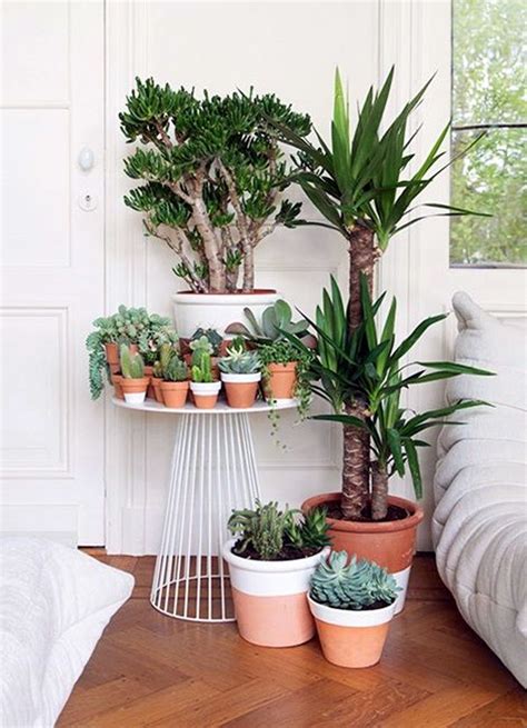 40 Smart Mini Indoor Garden Ideas Ekstrax Plants Indoor Plants