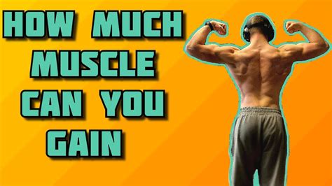 How Much Muscle Can You Gain Naturally Men And Women Youtube