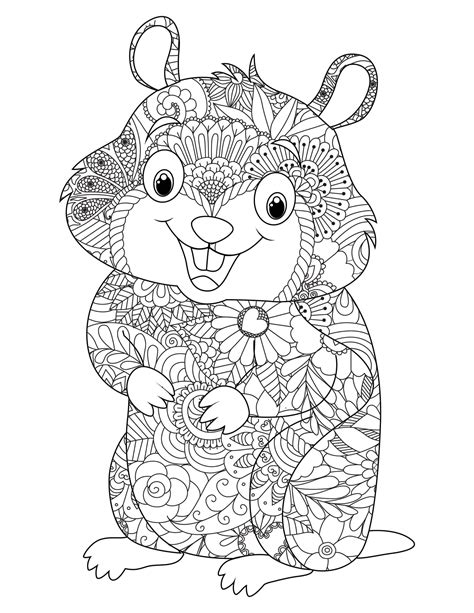 Hamster Para Adulto Para Colorir Imprimir E Desenhar Colorir Me